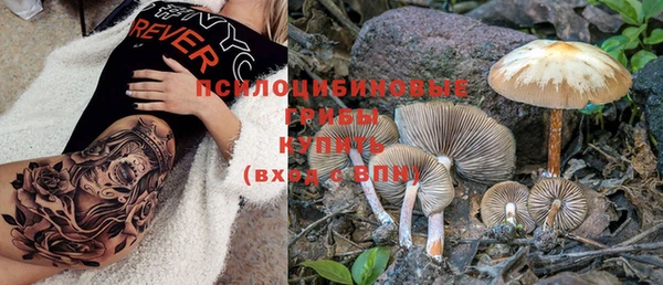 мдпв Нея