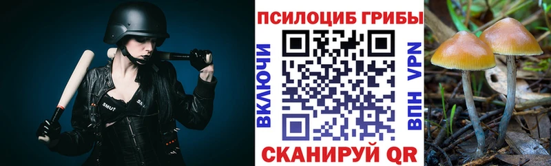 Галлюциногенные грибы Psilocybine cubensis  Байкальск 